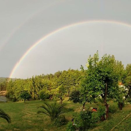 Quinta Nas Colinas Villa Sao Vicente da Beira ภายนอก รูปภาพ