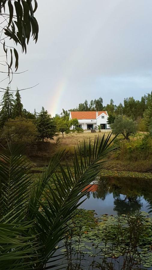 Quinta Nas Colinas Villa Sao Vicente da Beira ภายนอก รูปภาพ