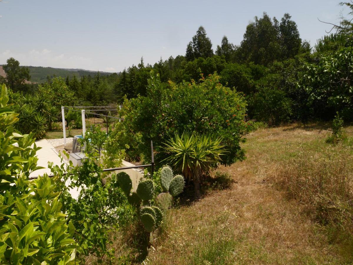 Quinta Nas Colinas Villa Sao Vicente da Beira ภายนอก รูปภาพ